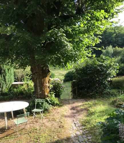 Bed & Breakfast Maison Mercredi