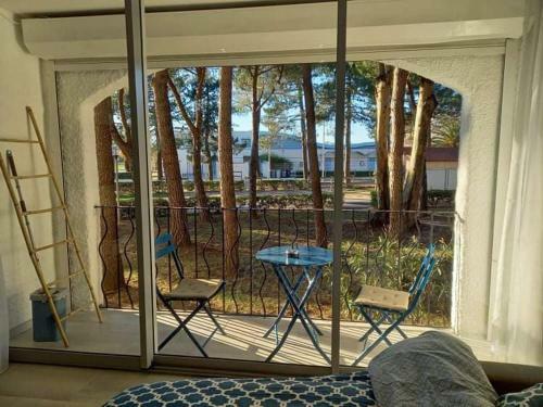 Apartamento Studio 27 M2 300m De La Plage 4p Wifi Commodit�s