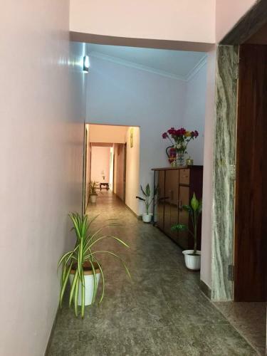 Hostal Triple J Inn