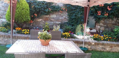 La Coccinella