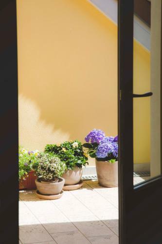 Apartamento Domus Residence