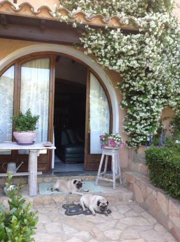 Hostal Affittacamere Sa Bratza Vacanze