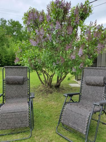 Hostal G�te Du Ch�teau