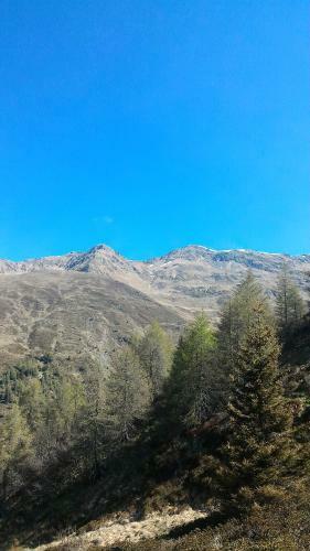 Apartamento Balcone Sulle Dolomiti 2
