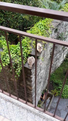 Apartamento Appartamenti Raineri