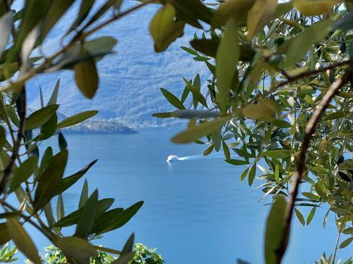 Apartamento Casa Vacanze Perla Del Lago