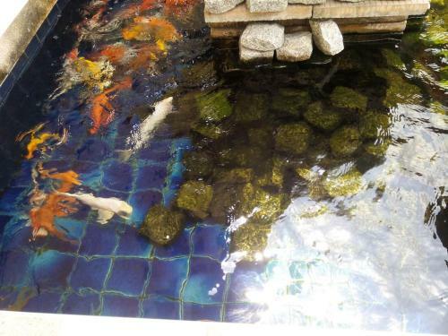 Hotel Bangkok.grand.resort
