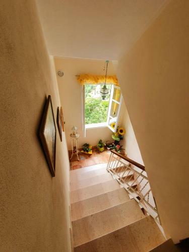 Bed & Breakfast Il Girasole ...at Andorus' House