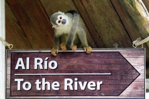 Posada Hosteria El Paraiso De Las Orquideas