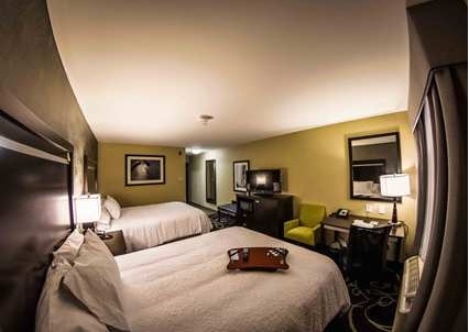 Hotel Hampton Inn & Suites Lansing West