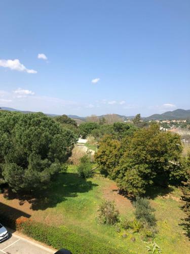 Apartamento Les Palmiers : T3 // Piscine // Terrasse