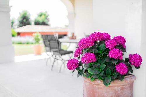 Agroturismo Villa San Pietro