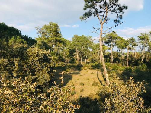 Apartamento T2 Pleine Mer, L'oc�an Et Le Soleil...