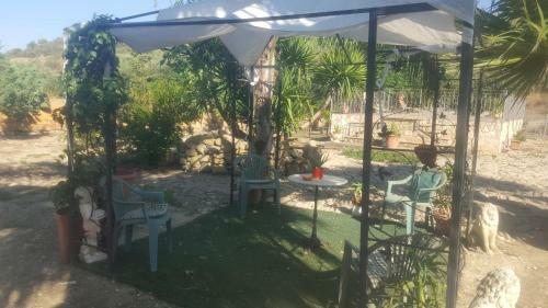 La Collina Delle Ginestre