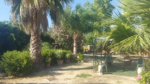 La Collina Delle Ginestre