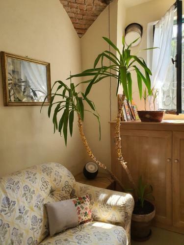 Bed & Breakfast Il Casolare Del Medio Olona
