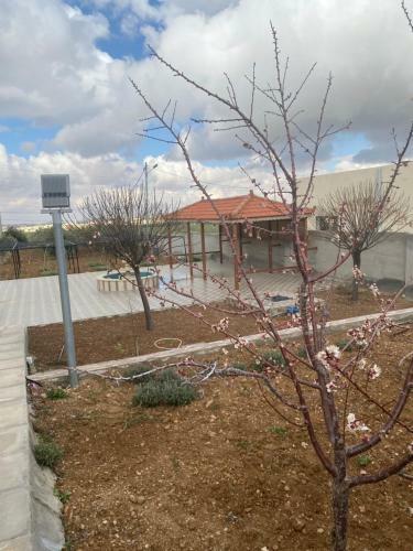 Farm 0798815489