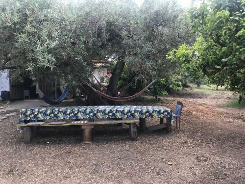 Hostal Casa Delle Sirene N'to Principe
