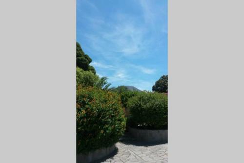 Il Guardiano Di Villa Falco