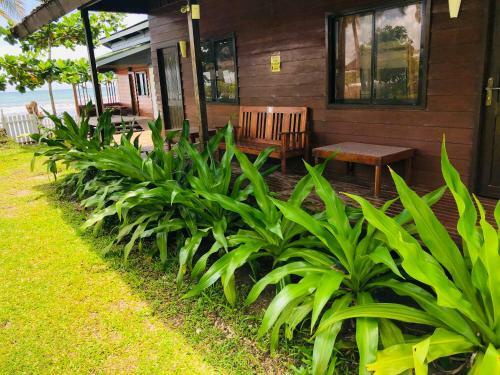 Hotel Camp Soteria Resort