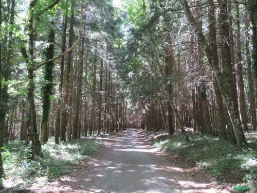 Apartamento Via Verdisca 1 Camera Da Letto Verdisca Bassa