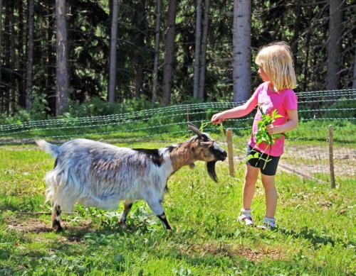 Agroturismo Niederhaeusererhof