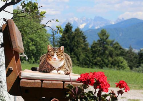 Agroturismo Niederhaeusererhof