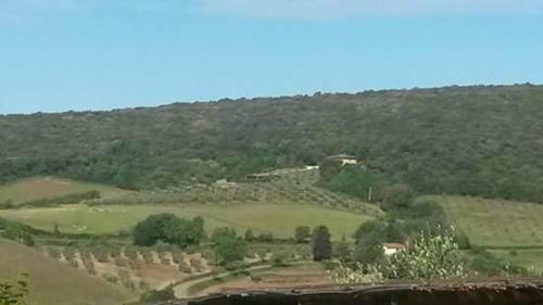 Agroturismo Podere Mammoleta