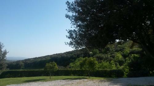 Agroturismo Podere Mammoleta
