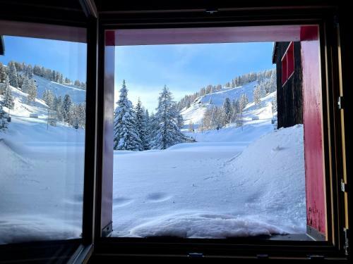 Apartamento Casa Mammolo Falcade