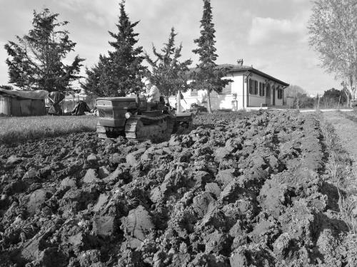 Bed & Breakfast Masseria Le Querciole