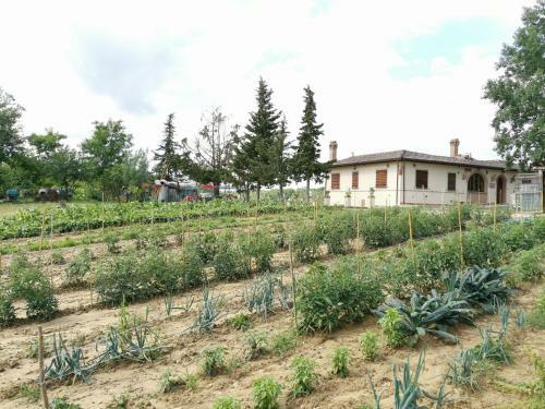 Bed & Breakfast Masseria Le Querciole