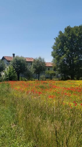 Hostal Porte Di Venezia, Tessera Aeroporto