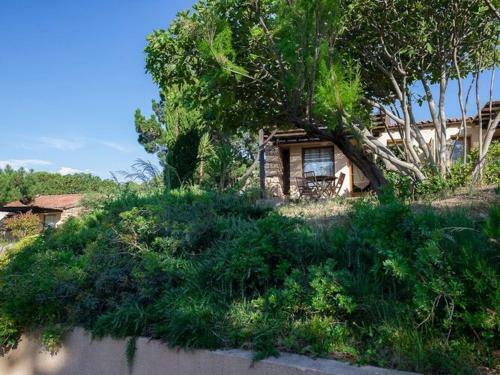 R�sidence Alba Rossa, Serra-di-ferro, Accommodation With Terrace Or Balcony