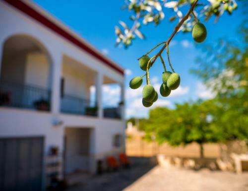 Apartamento La Casa Di Gigi