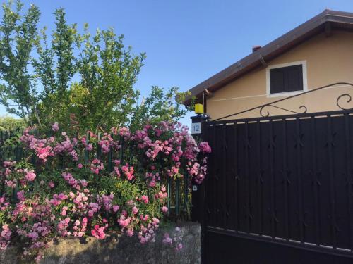 Villa Casa Ramia - Detox Hospitality Home