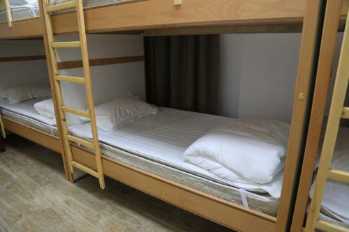 Eco Hostel