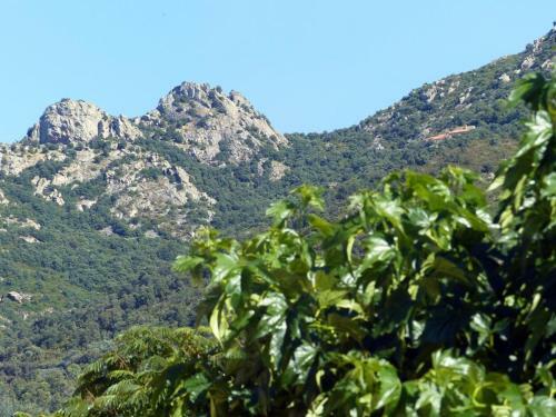 Bed & Breakfast Casa-tena