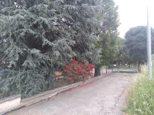 Apartamento Villa Lilli 3