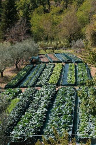 Apartamento Tuscan Farmhouse With Spectacular Views