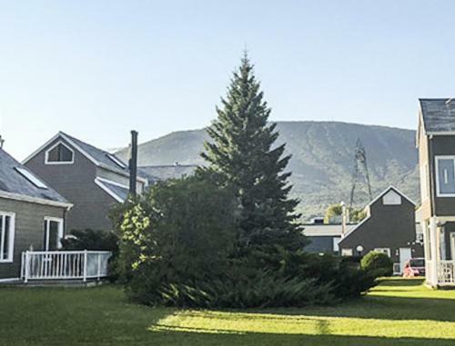 Apartamento Comfortable Four-season Condominiums In Magnificent Quebec