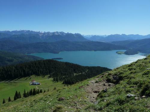 Hostal G�stehaus Alpina