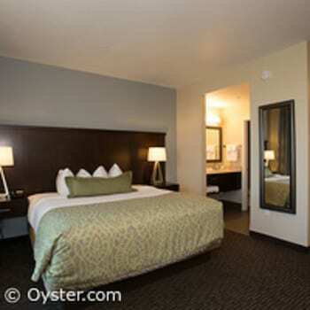 Hotel Staybridge Suites St. Petersburg Fl