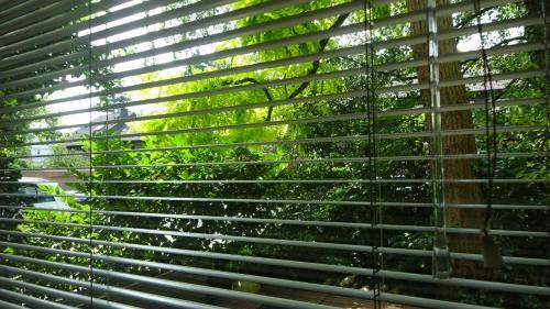 Guest Apartment Unterbach