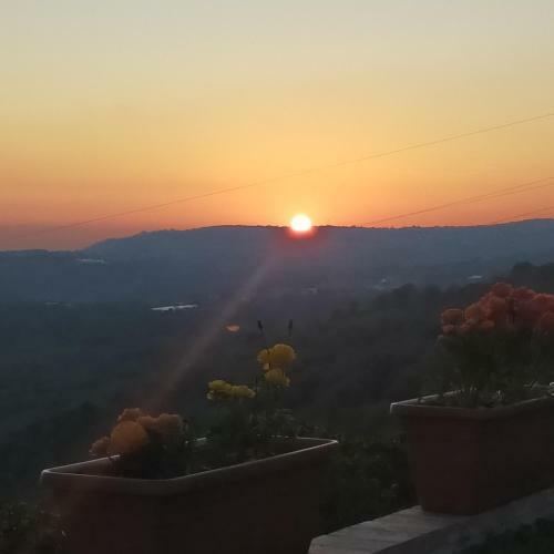 Hostal Il Colle Degli Ulivi