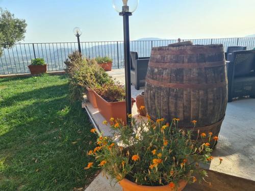 Hostal Il Colle Degli Ulivi