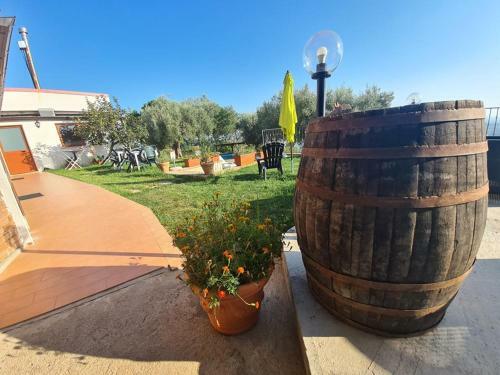 Hostal Il Colle Degli Ulivi