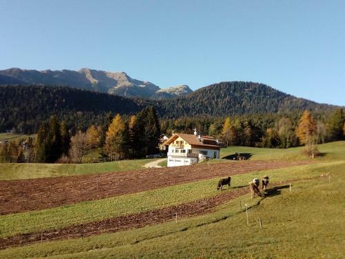 Brugghof Apartement L�rche