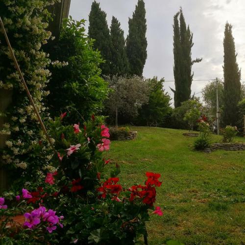 Apartamento Casa Delle Palme