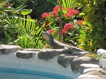 Casa Virgilios B&B